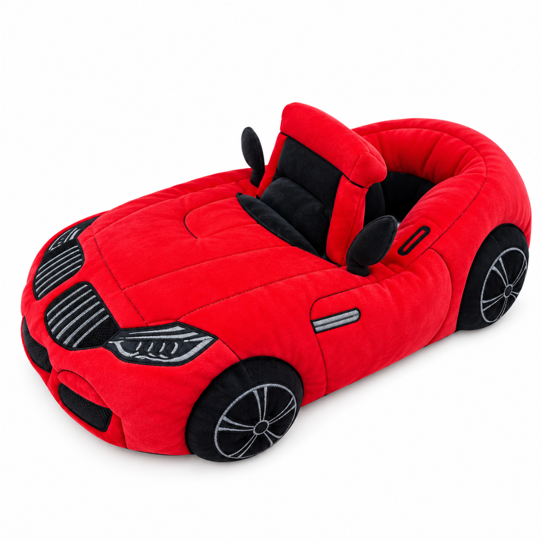 Car-Shaped Plush Slipper