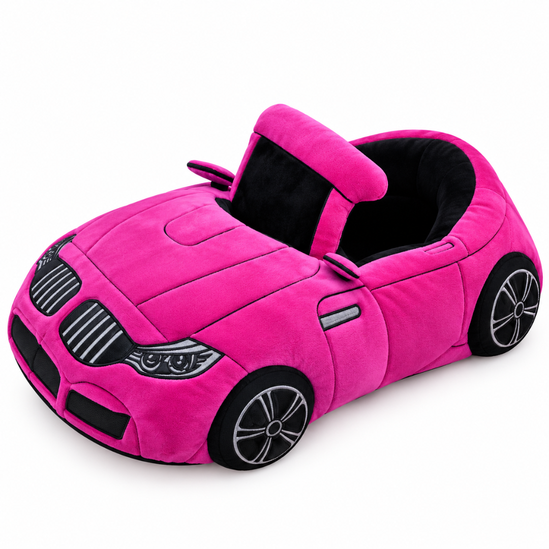 Car-Shaped Plush Slipper